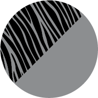 c3_zebra_silver.png